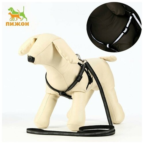 Комплект Спорт светоотражающий, поводок 120 x 1 см, ОГ 23-35 см, чёрный шлейка для собак поводок для собак светоотражающий ширина 1 см чёрный