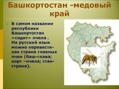 Сувенир Мед башкирские пасеки "Медведь на чиляке" цветочный, 300 гр. - фотография № 10