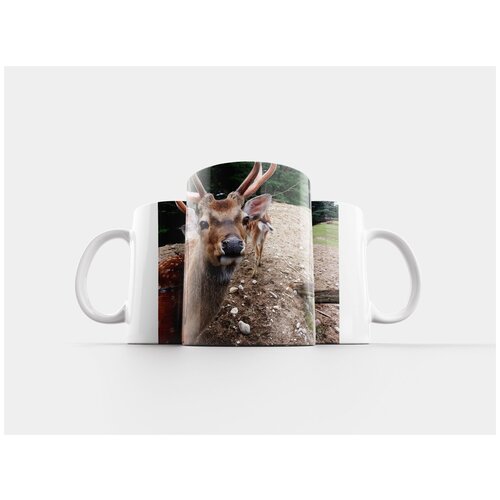 фото Кружка "олень, животное, дикая природа" 320 мл lotsprints