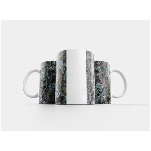 фото Кружка "лишайник, лист кос, серо-голубой" 320 мл lotsprints