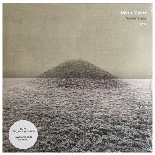 Виниловая пластинка Bjorn Meyer / Provenance (LP) виниловая пластинка bjorn