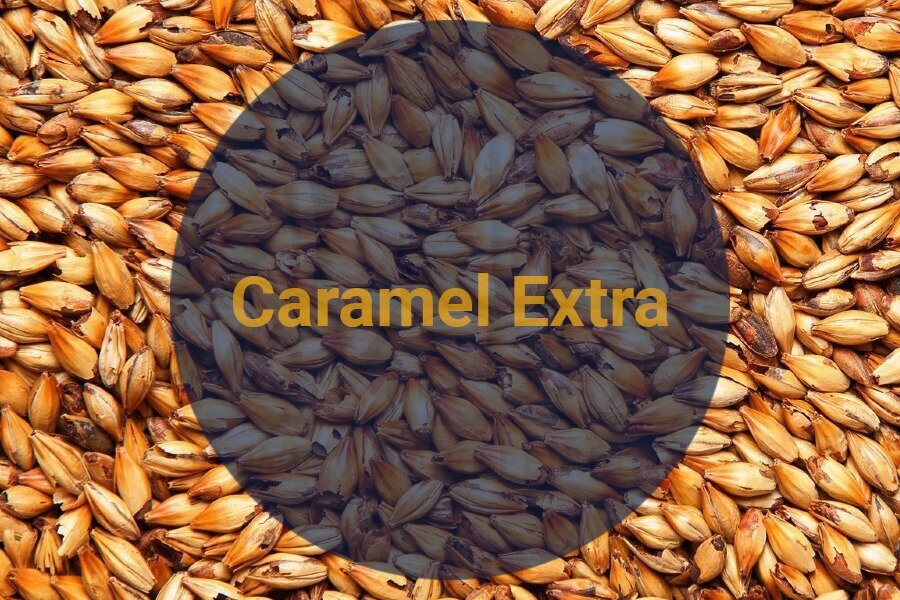 Солод Soufflet "Caramel Extra, 230-270 EBC" (Суффле - Карамельный Экстра), для приготовления пива и виски, Франция, 1 кг, без помола.