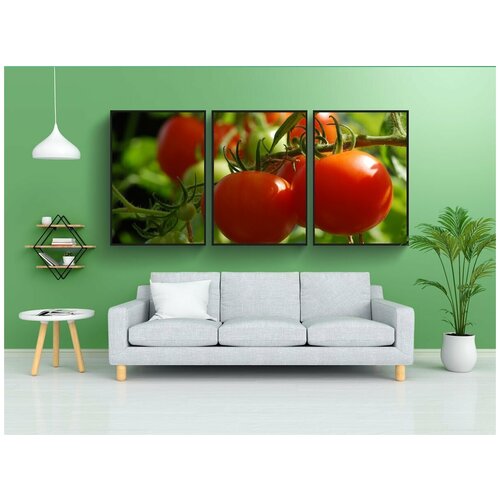 фото Набор модулных постеров для интерьера "помидор, рост, еда" 60x90 см. в тубусе, без рамки lotsprints