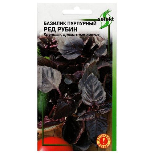 Семена Базилик ред рубин 130шт для дачи, сада, огорода, теплицы / рассады в домашних условиях семена базилик фиолетовый шарм 130шт