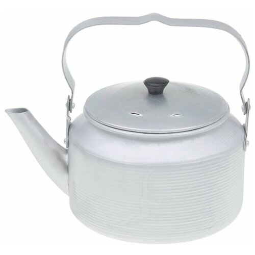 ЭРГ-AL Чайник Травленный 2 л 231300₽