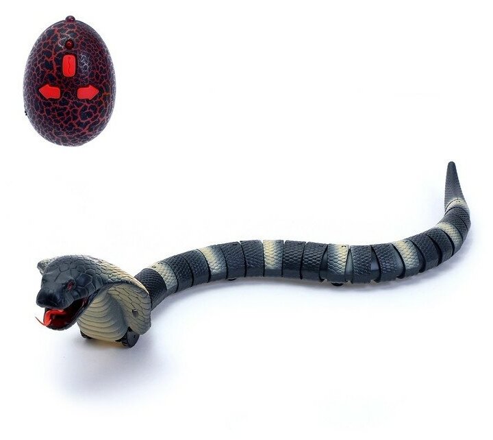 Змея радиоуправляемая «Королевская кобра», работает от аккумулятора, микс