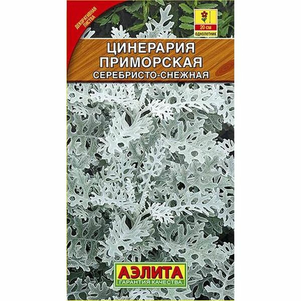 Семена Цинерария Серебристо-снежная однолетник Аэлита 1 пачка - 0.1г семян