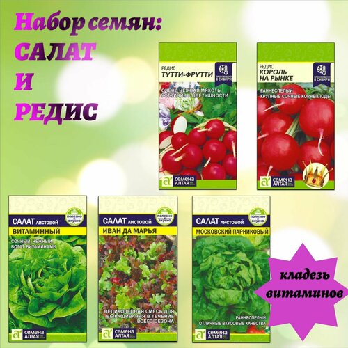 Семена салата и редиса для Вашего сада. Семена Алтая красный
