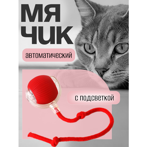 Игрушка для кошек интерактивный мячик, с подсветкой, с аккумулятором и USB зарядкой