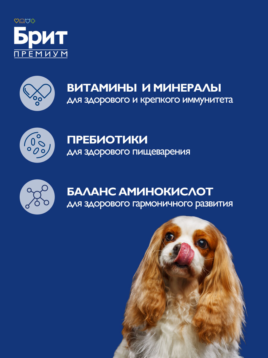Сухой корм для взрослых собак Brit Premium, курица 1 кг для мелких и карликовых пород — фото 1
