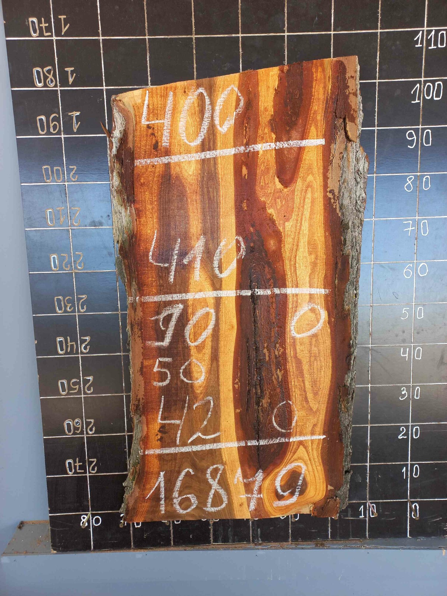 Слэб Доклес №16879 карагач необрезной для столешниц и полок 5x41x90 см