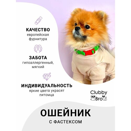 Clubby Bro Ошейник для собак мелких пород и средних пород,зеленый-красный,размер S