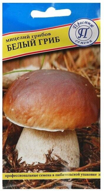 Мицелий грибов Белый гриб, 60 мл для дома
