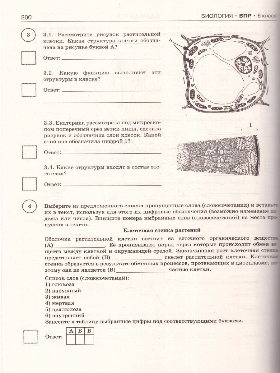 ВПР. 6 класс. Русский язык. Математика. История. Обществознание. География. Биология - фото №10