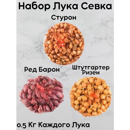 Набор Лук Севок 0.5 кг