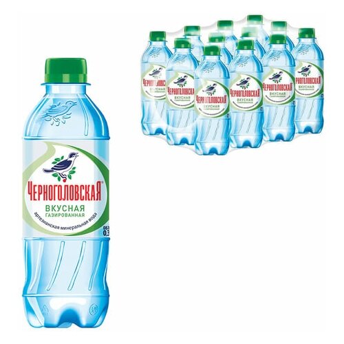 фото Вода газированная минеральная "черноголовская", 0,33 л, пластиковая бутылка, 24 шт. черноголовка