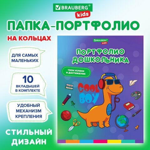 Папка-портфолио дошкольника, 4 кольца, 20 файлов 10 вкладышей, 7БЦ матовая, BR.KIDS, динозавр,115238