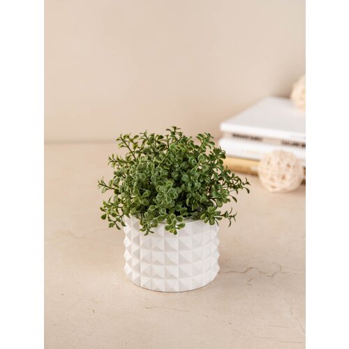 Кашпо Ваза Органайзер Квадратики белое 500₽