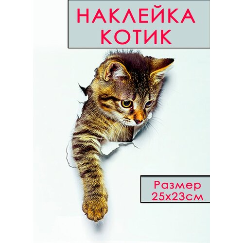 Наклейка на унитаз Котик