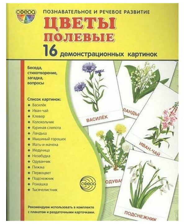 _СфераКартинок_ДемонстрКарт Цветы полевые Познавательно-речевое развитие (Цветкова Т. В.) [16 демонстр. картинок с текстом 17х22см]