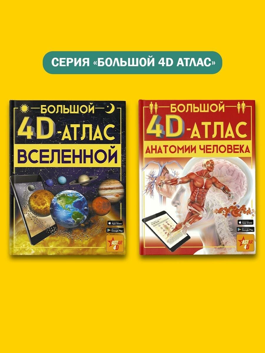 Большой 4D-атлас анатомии человека - фото №16