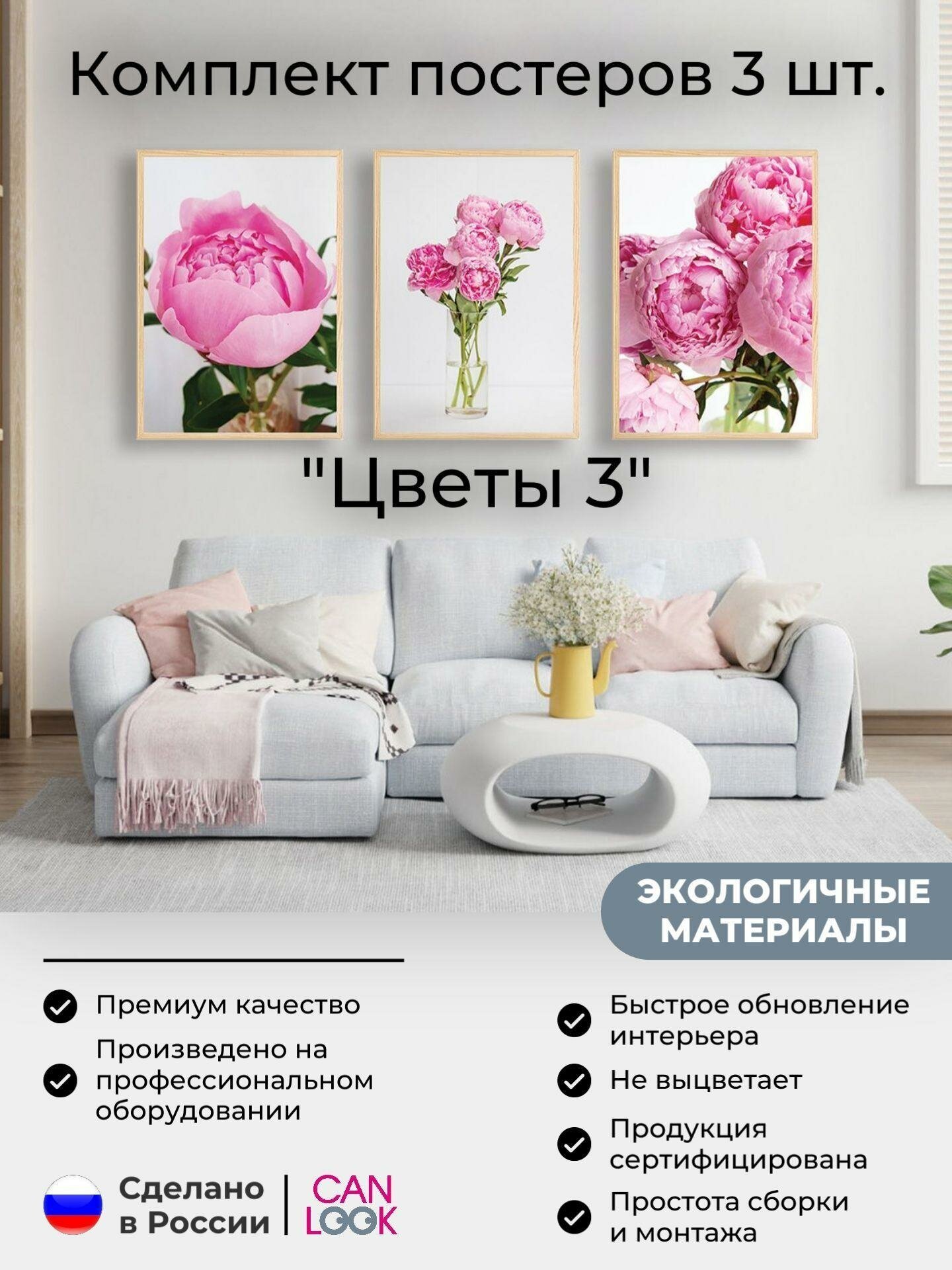 Постеры на стену 50х70, набор постеров "Цветы Пионы" 3 шт.