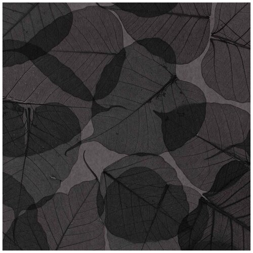 Натуральные обои Cosca Листья Прима Ахумадо 091 x 55 м 3092₽