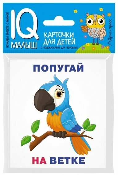 Набор карточек Айрис-пресс Умный малыш, Кто где находится? для детей (25732)