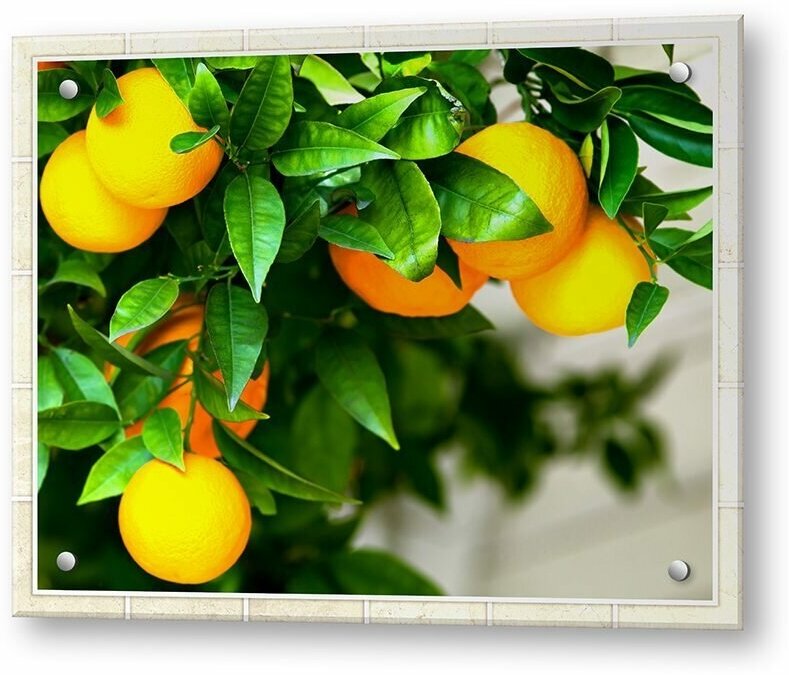 Фартук кухонный на стену панель из закаленного стекла 600х500х4 мм / Защитный экран для кухни Апельсиновое дерево