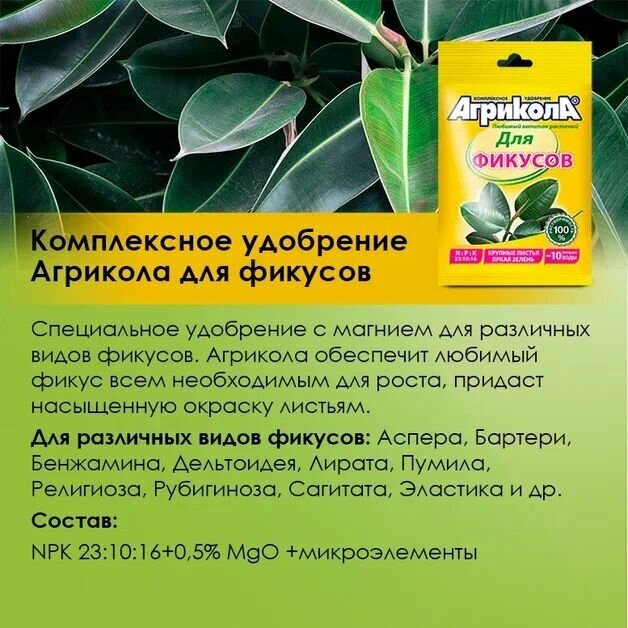 Набор (Грунт для растений 5 л, удобрение) для посадки, выращивания и пересадки декоративно-лиственных растений (фикусы), гранулы Агрикола и дренаж - фотография № 3