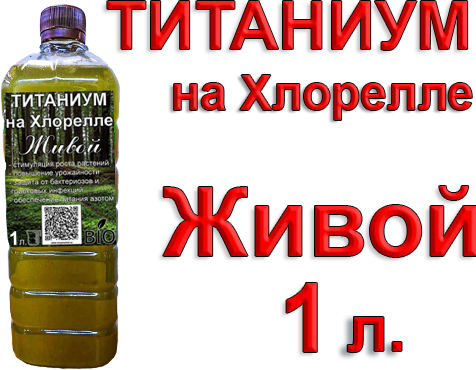 Титаниум на Хлорелле (бактерии Pseudomonas), 1 литр.