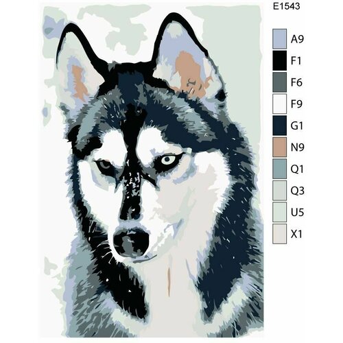 Детская картина по номерам E1543 Собака Сибирский хаски 20x30