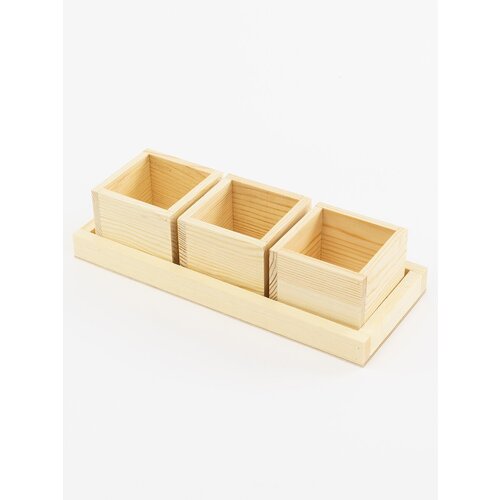 Кашпо из дерева под кактусы и суккуленты 3 горшочка 442₽