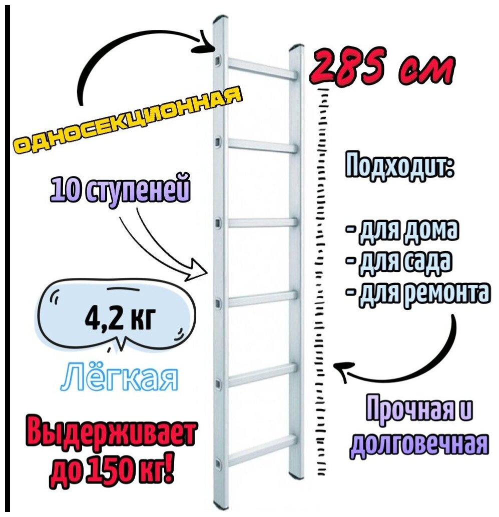 Лестница приставная односекционная 1х10, Эскальдо, max 285 см