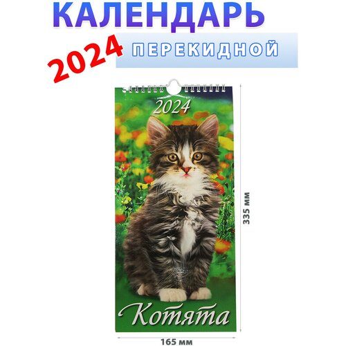 Атберг 98 Календарь настенный на 2024 год Котята, 165х335 мм котята и месяц