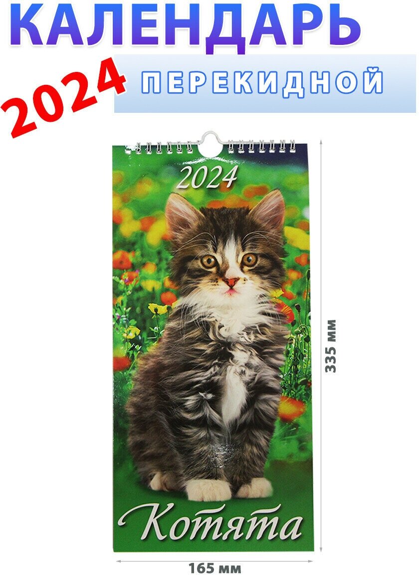 Атберг 98 Календарь настенный на 2024 год "Котята", 165х335 мм