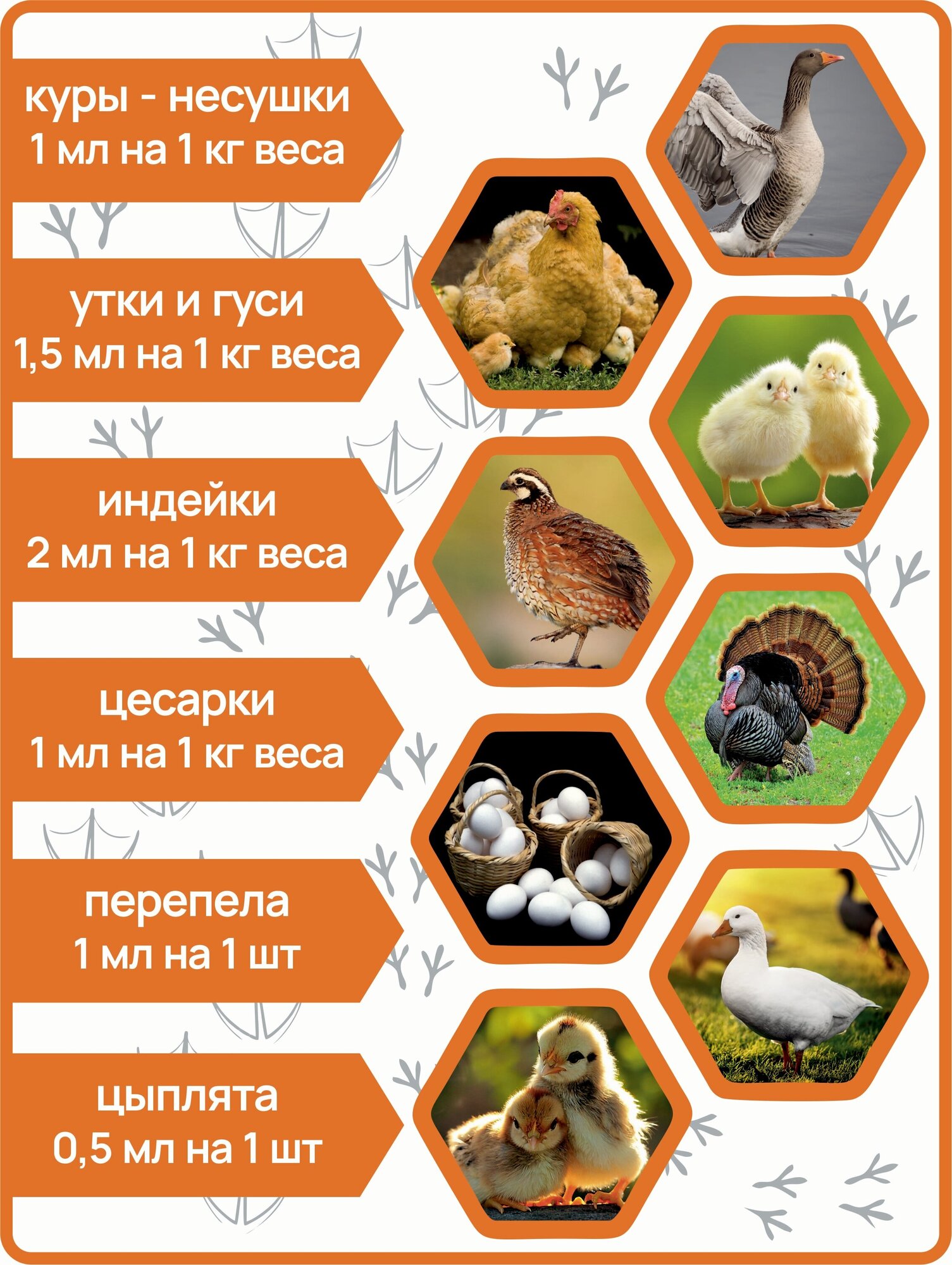 Кормовая биодобавка (витамины) для курицы гусей уток цесарок перепелов - фотография № 2
