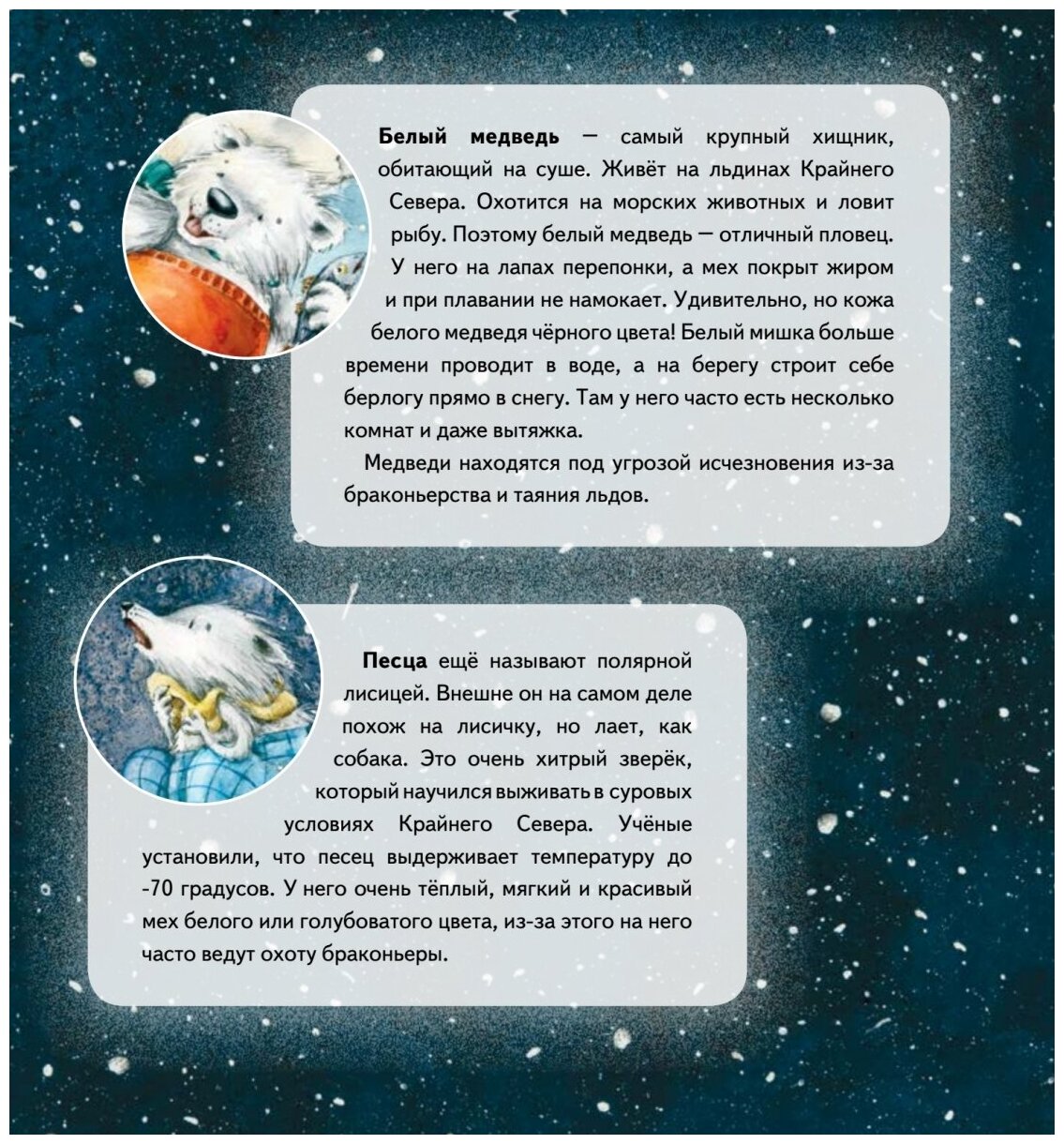 Чудо в Новый год. Как Белый Мишка нашёл друзей. Полезные сказки - фото №2