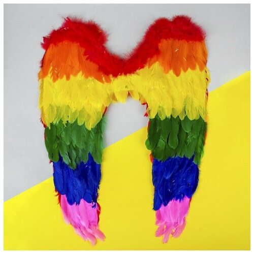 фото Крылья ангела 60*50 4300816 сима-ленд