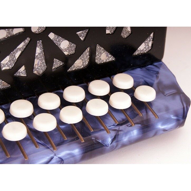 Гармонь Шуйская гармонь S40XL-C-BL — фото 1