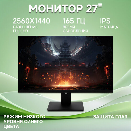 272K165 Гц Fast IPS Игровой монитор 16774₽