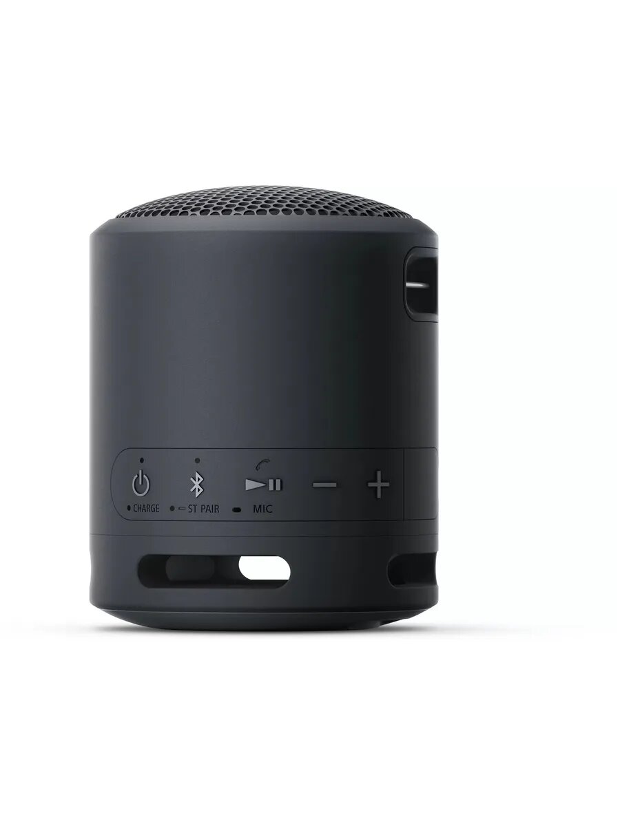 Беспроводная колонка Сони SRS-XB 13 черный — фото 1