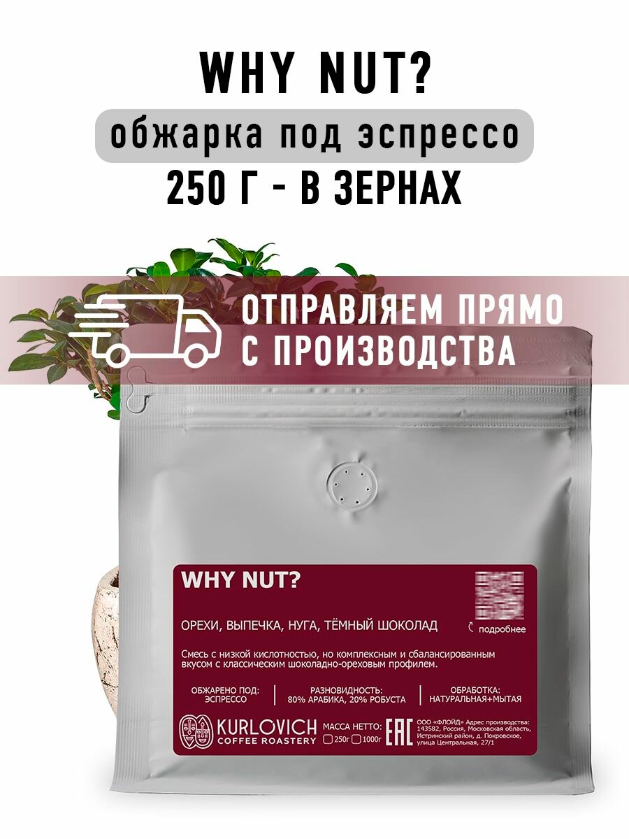 Кофе в зернах WHY NUT? 250 гр. арабика 80% Бразилия, Гондурас, робуста 20% Вьетнам свежеобжаренный KURLOVICH COFFEE ROASTERY