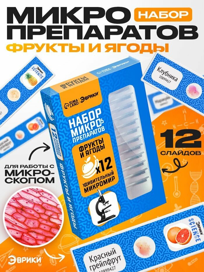 Набор для опытов «Набор микропрепаратов» фрукты и ягоды 12 слайдов с готовыми образцами Эврики Science