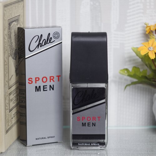 Positive Parfum, туалетная вода, Chale Sport Men, 100 мл positive parfum туалетная вода chale sport men 100 мл