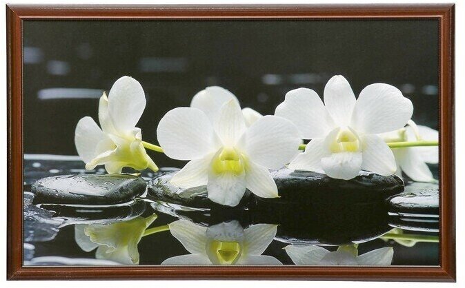 Картина "Белые цветы" 67x107 см