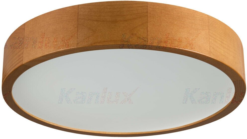 Настенно-потолочный светильник Kanlux JASMIN 370-G/O 36441 - фотография № 5