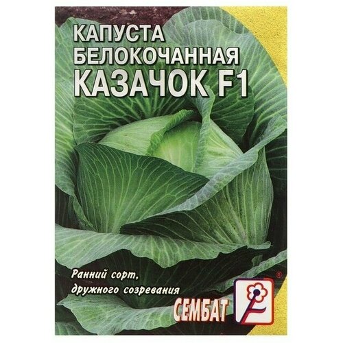 семена капуста казачок f1 0 3гр цп Семена Капуста белокачанная Казачок , 0,1 г 10 упаковок