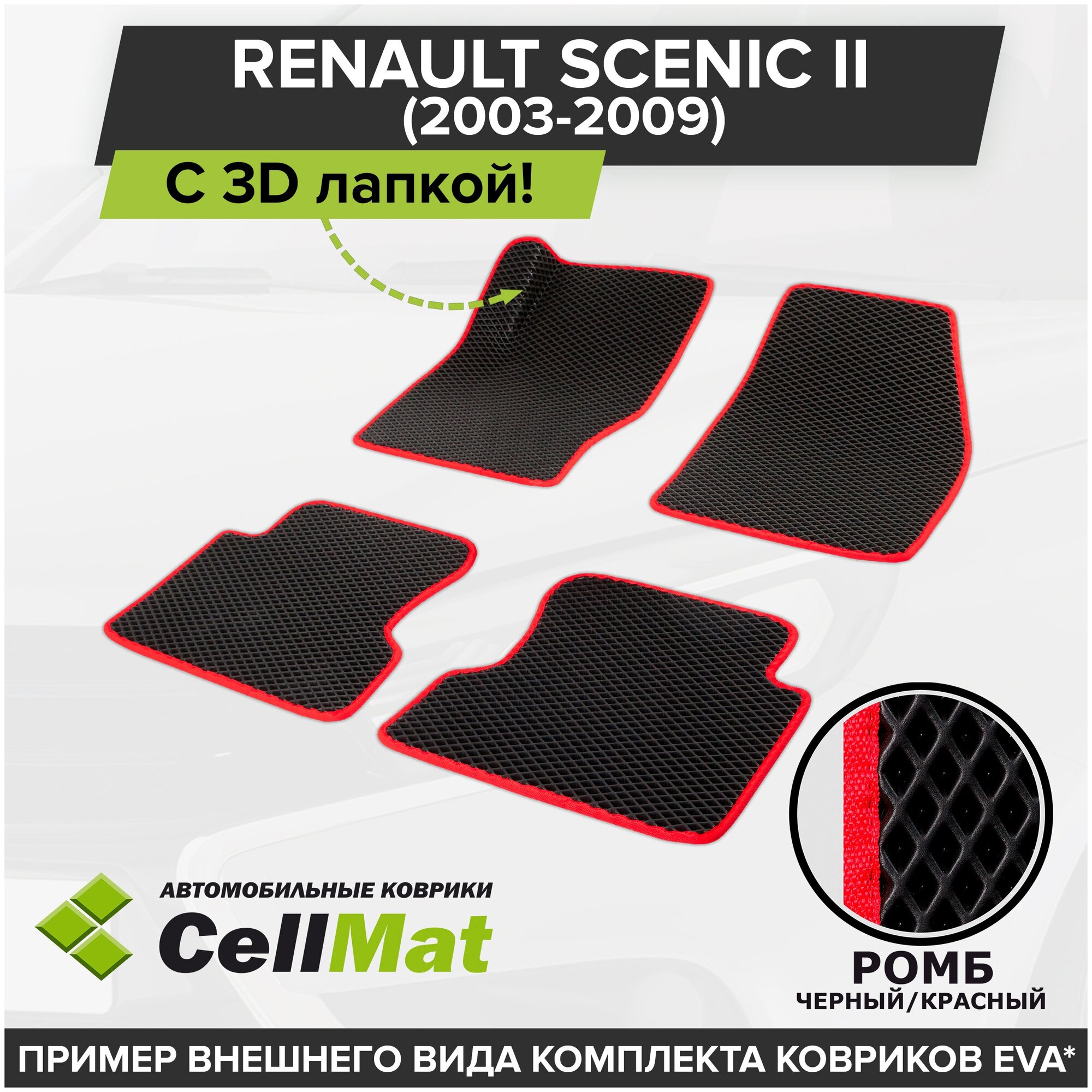 2RR3D_RENAULTSCENIC2