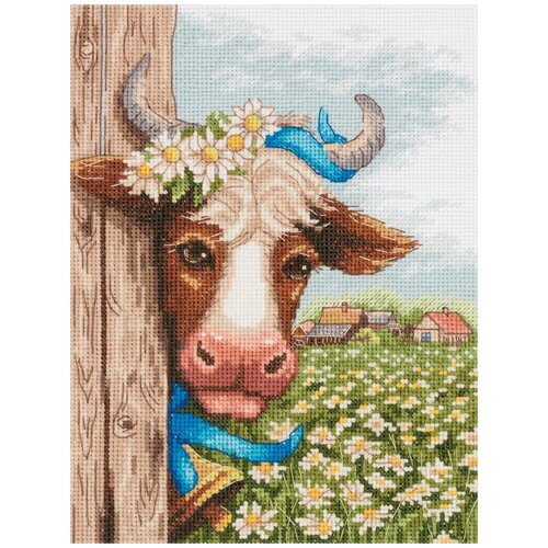 фото Набор для вышивания крестиком panna в ромашках (j-7212)